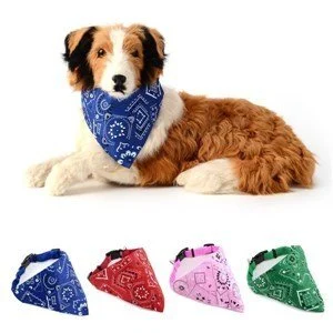 LİON FULARLI 12 TASMA